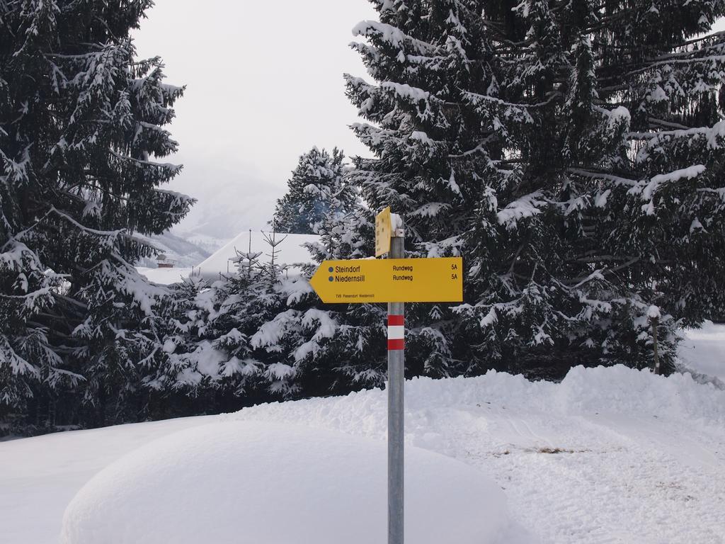 Chalet Sonnberg Niedernsill Εξωτερικό φωτογραφία