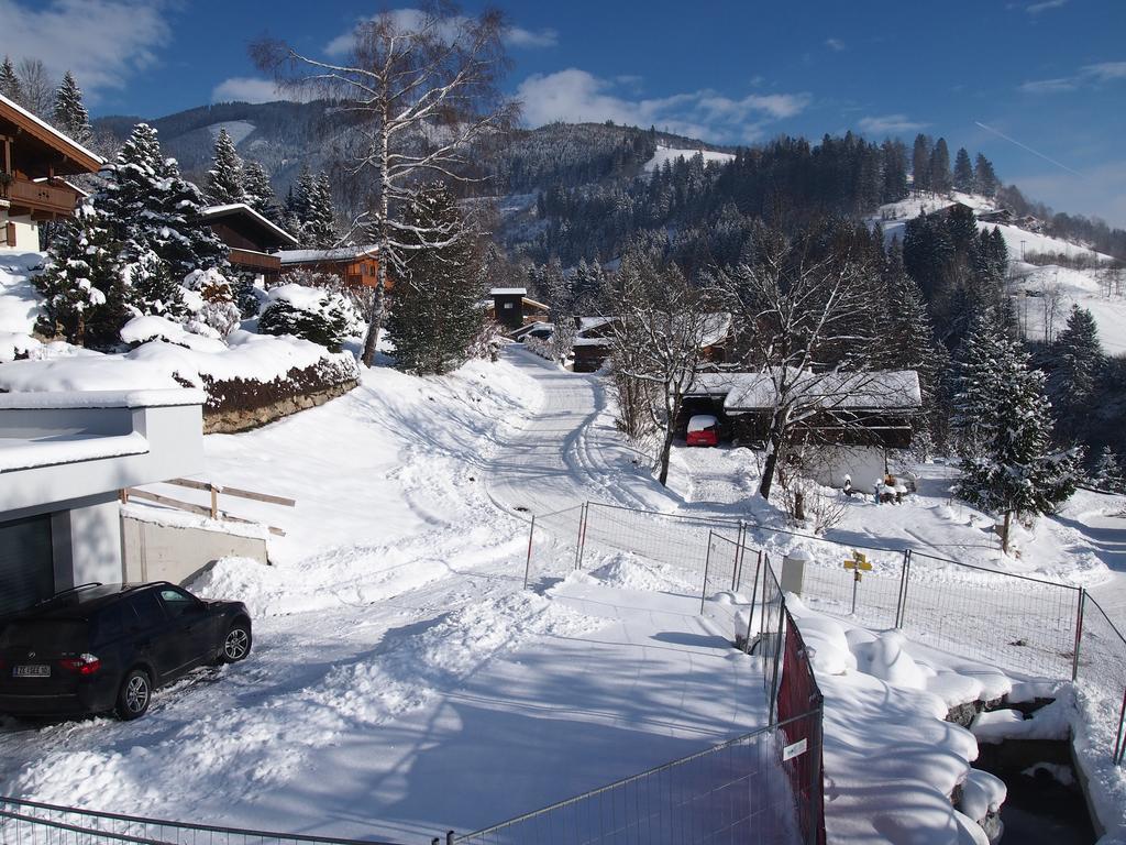 Chalet Sonnberg Niedernsill Εξωτερικό φωτογραφία